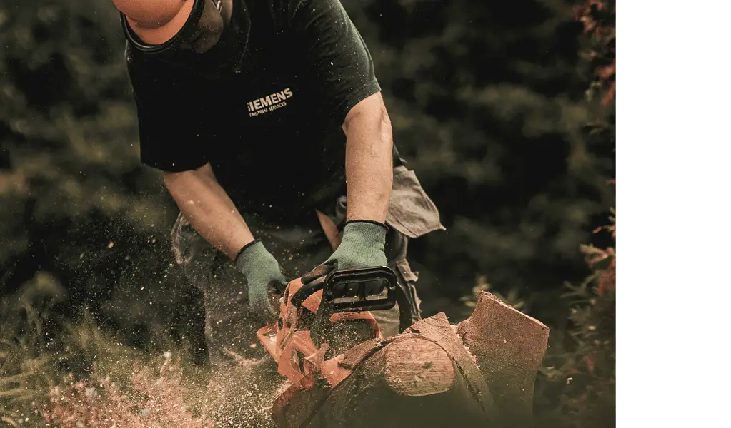 3 Different Types Of Wood, Their Characteristics & Uses