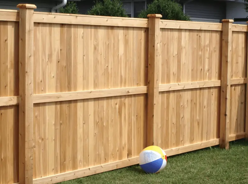 10 Best Wood For Fencing & Fencing Posts (Most-In-Demand)