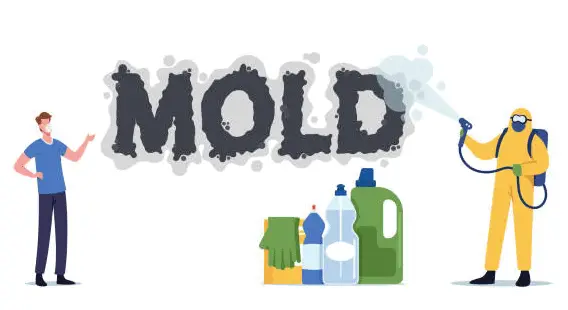 Mold killing
