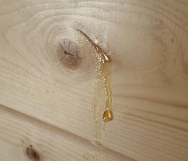 Remove SAP from wood