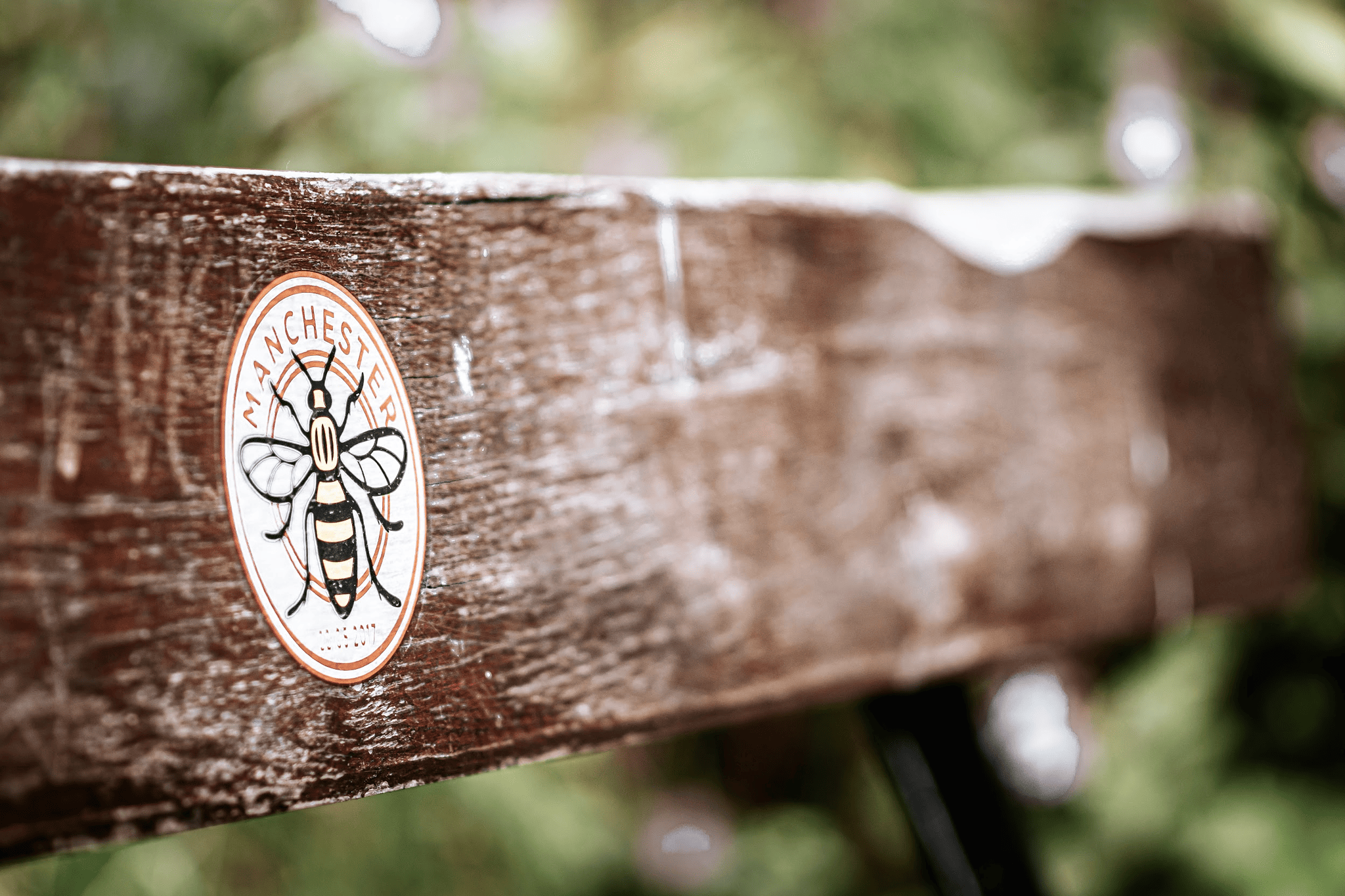 7 Effective Methods To Remove Stickers From Wood